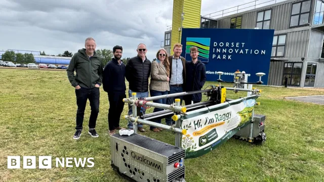 Robot Raggy begins trials to eliminate deadly ragwort in Dorset