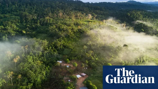 Pilot Scheme to Protect Rainforests in Peru