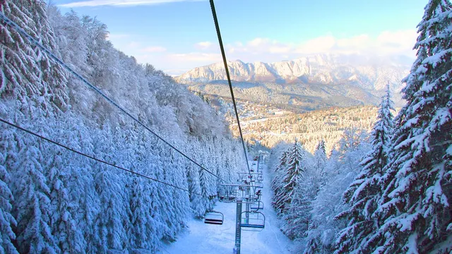 Affordable hot chocolate maker challenges luxury competitor