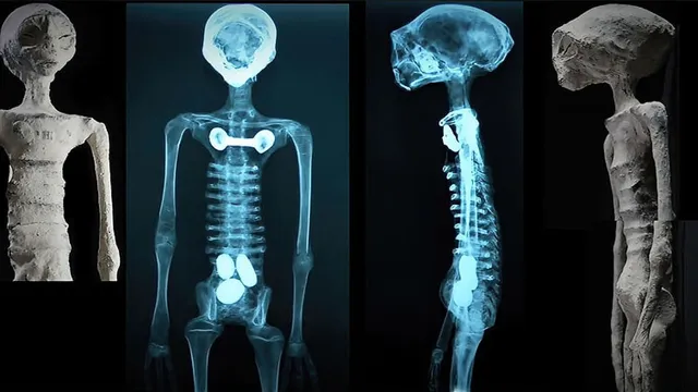 Peru's "Alien Mummies" to be Investigated in the U.S