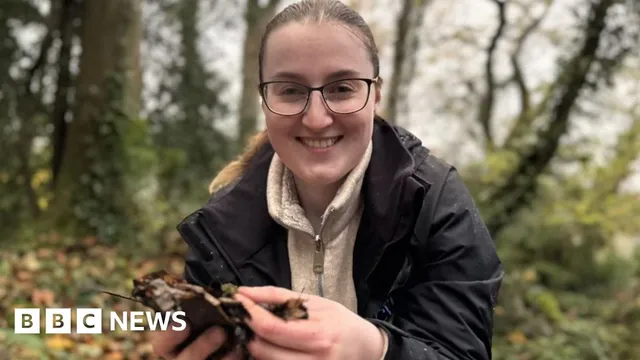 Scientists aim to uncover earthworm data in Northern Ireland