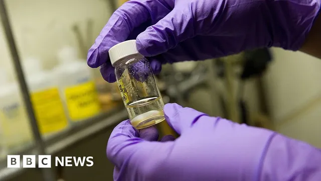 Stanford researchers develop universal nasal spray vaccine against infections