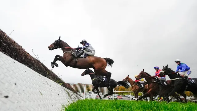 Nicky Henderson aims for victory with Punctuation at Newbury