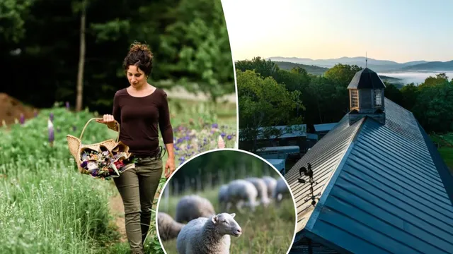 Farm stays surge in popularity as travelers seek rural getaways