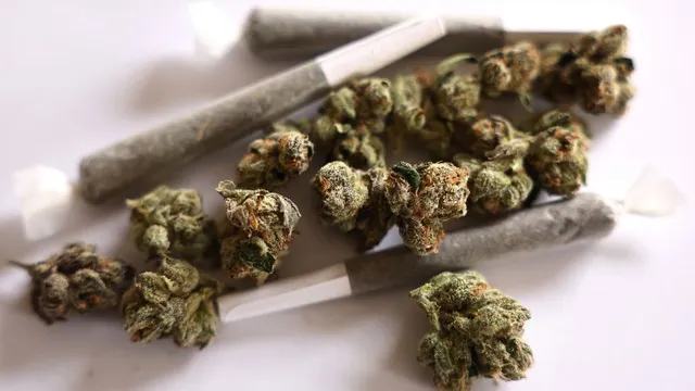 Cannabis Rescheduling: A Shift in Federal Drug Policy