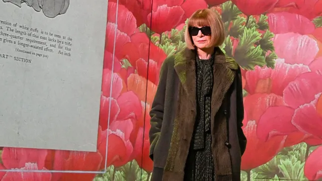 Anna Wintour claims fashion is now accessible to all