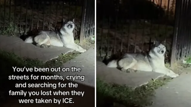 ICE detains South Texas mariachi band family amid asylum claims