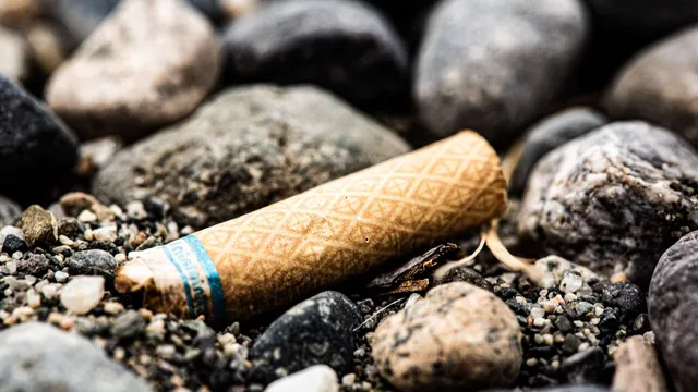 Natalie Walton fined £75 for littering after ticket arrives in the mail