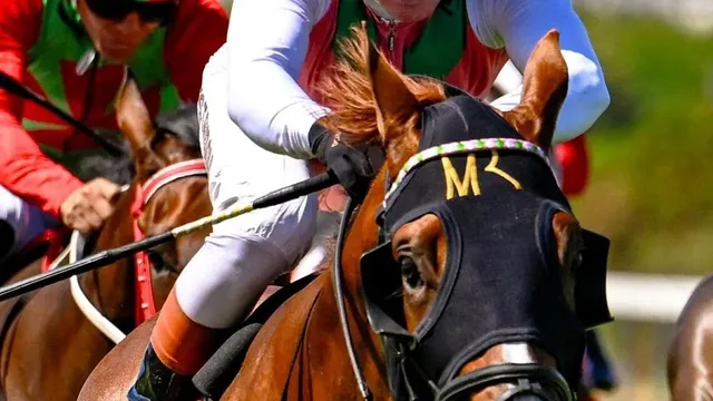 See It Again wins prestigious Cape Metropolitan Stakes in Cape Town