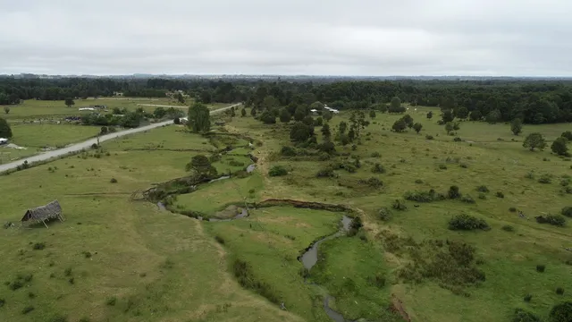 New study disputes date of key archaeological site in Chile