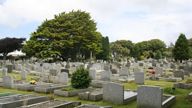 Penzance school takes 40 pupils to cemetery for nature lessons