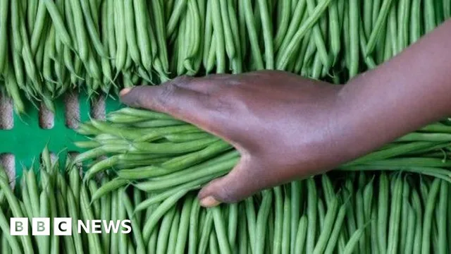 UK increasingly relies on Senegal for winter vegetables