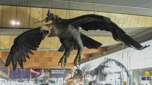 Wellington Airport axes beloved Hobbit eagle sculptures after 12 years
