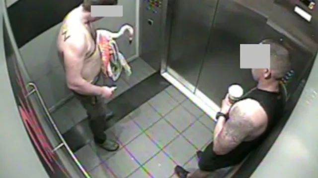 Canadian tourist arrested for kidnapping flamingo in Las Vegas