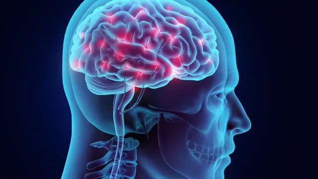 Neuroscientist explains why feeling safe is crucial for sleep