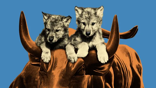 Young wolves take on Goldman Sachs in bold move