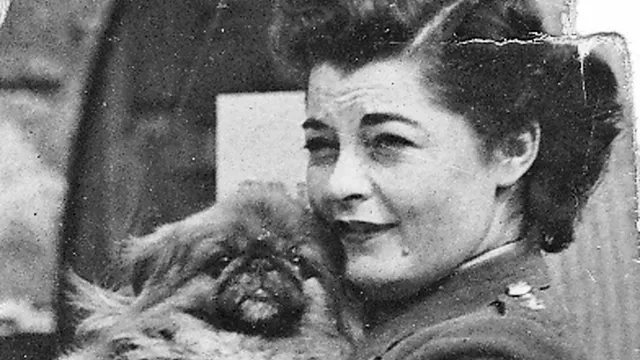 British agent reveals haunting experiences from Bergen-Belsen liberation