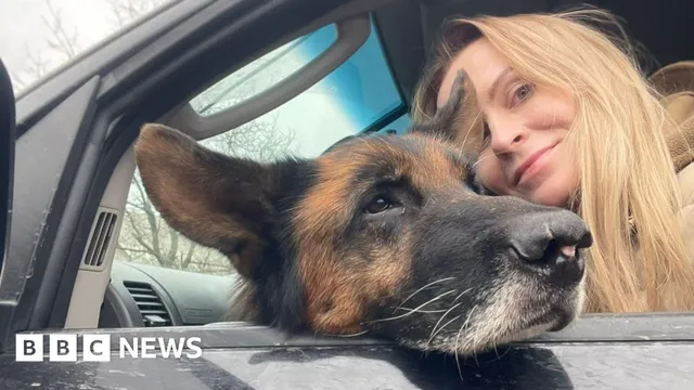 Ukrainian pet rescuers save thousands while risking their lives