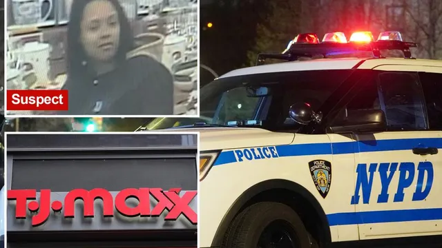 Security guard injured while confronting shoplifters in Brooklyn store