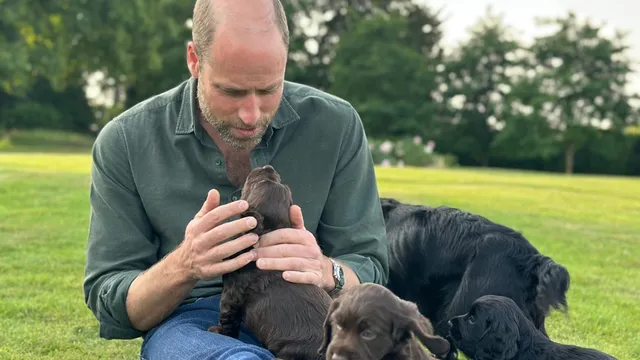 Kate Middleton shares heartfelt birthday tribute featuring new puppies