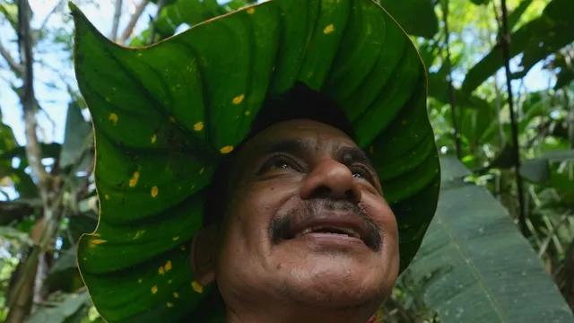 Family fights to save endangered plants in the Amazon
