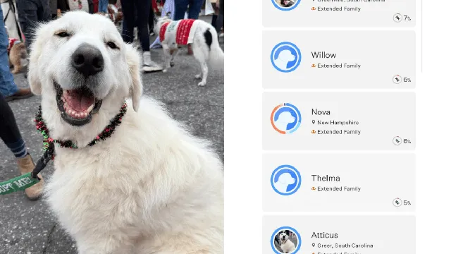 Genetic connections among rescued Great Pyrenees alarm South Carolina rescue