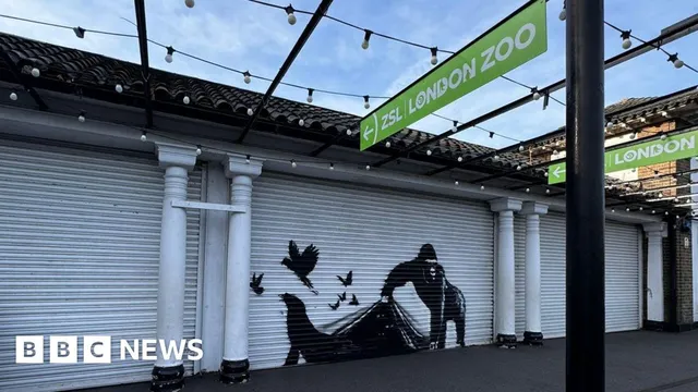 Banksy's Gorilla Art at London Zoo