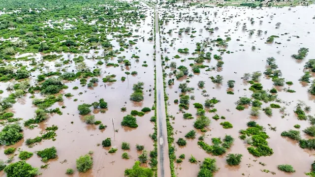Crocodiles attack residents in Mozambique floods