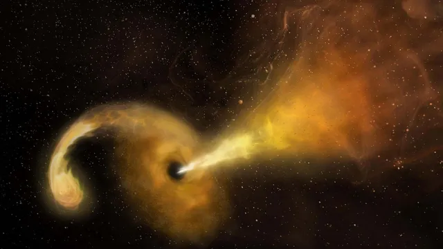 Volunteers needed to help find stars torn apart by black holes