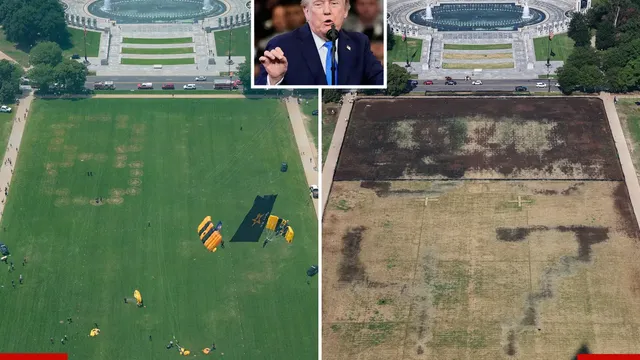 Trump blames vandals for dead grass on National Mall after his July 4th event