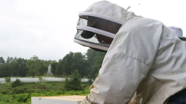 Beekeepers in NH Struggle with Climate Change