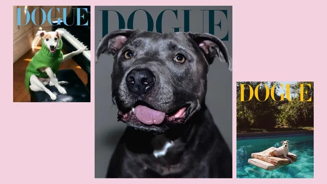 Celebrities' Dogs Shine on Vogue Cover