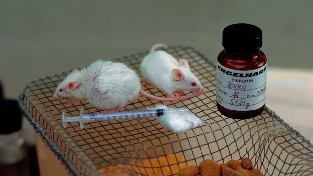 Rima Horton raises awareness on pancreatic cancer symptoms after Alan Rickman's death