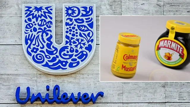 Unilever's CEO distances company from past 'woke' agenda