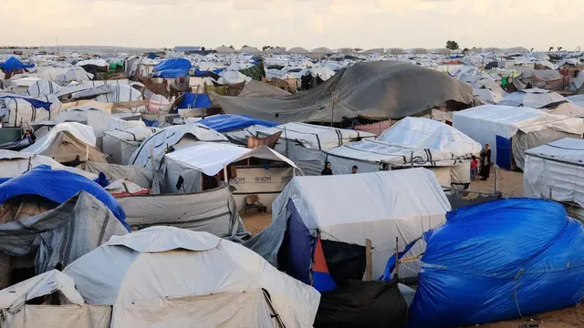 Israeli forces kill three Palestinians in Gaza amid ongoing violence