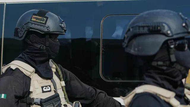 Islamic State militants kill 29 people in Nigeria attack