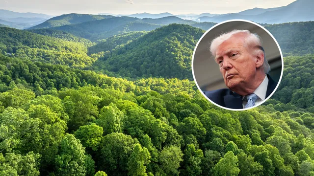 Trump administration relocates US Forest Service headquarters to Utah