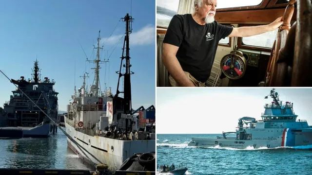 Iceland detains crew of Paul Watson's anti-whaling ship Bandero