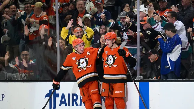 Anaheim Ducks endure 15-hour travel day to New York for NHL road trip