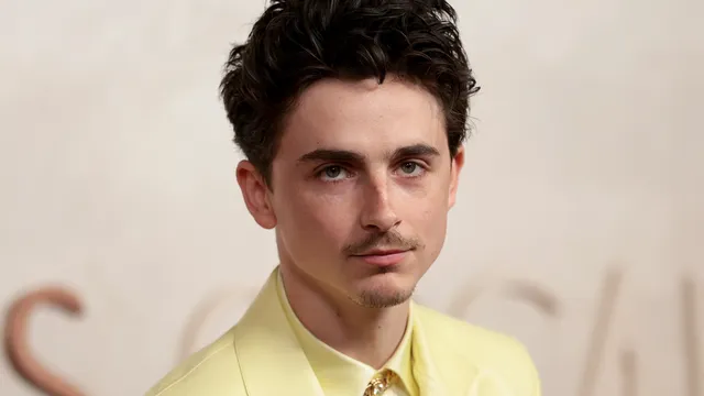 Timothée Chalamet names Susan Boyle his greatest British hero