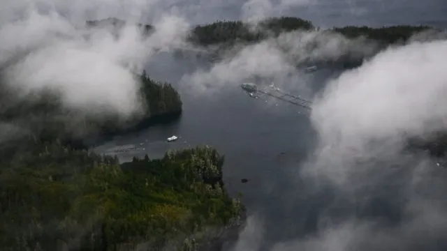 Canada's New Marine Protected Area: A Global Model for Conservation