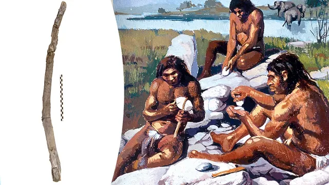 Archaeologists uncover ancient wooden tools dating back 430,000 years in Greece