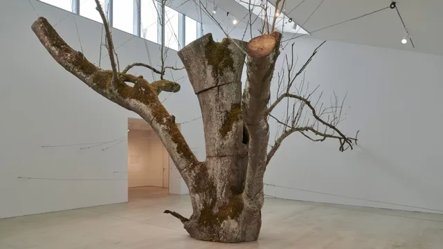 Anya Gallaccio's exhibition of mussels and apples at Turner Contemporary, Margate