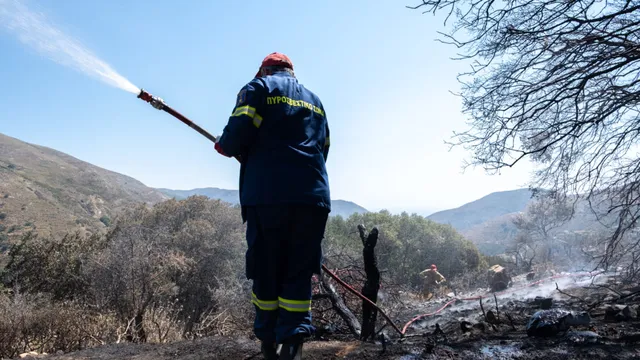 Two firefighters die fighting wildfire in Crete
