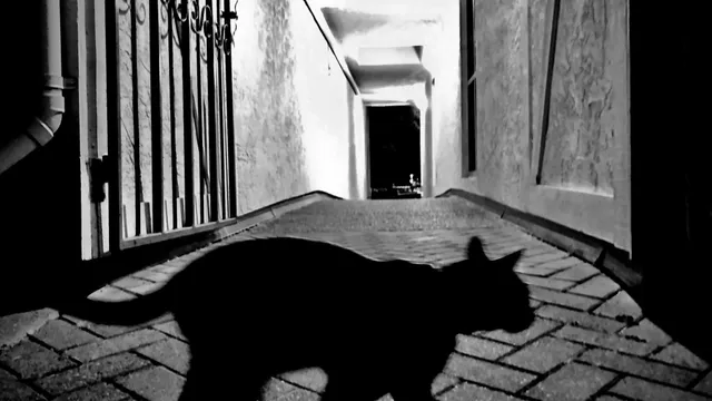 AI fears trigger global selloff in markets