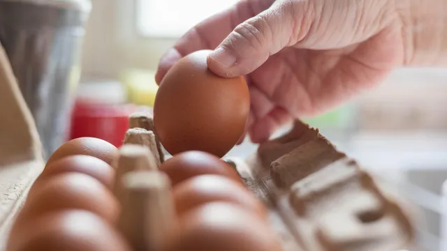 1.6 million eggs recalled over salmonella concerns