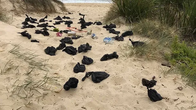 Council urges responsibility as dog waste bags litter NSW beach