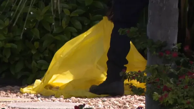 Homeowner shoots attacking dog in South Florida incident