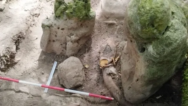 Archaeologists uncover nearly 3,000-year-old Mayan city in Guatemala