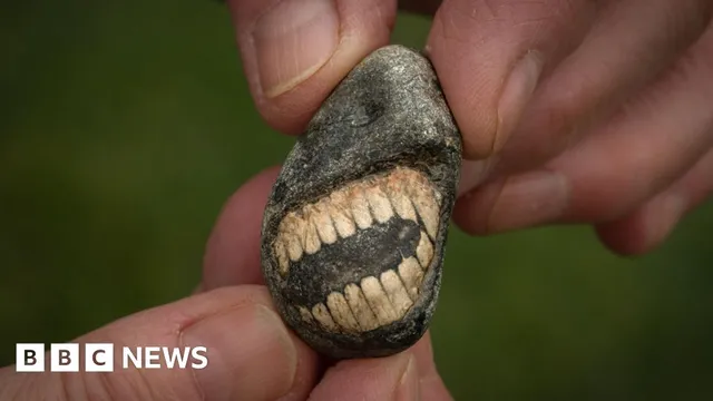 Woman discovers unique fossil while hunting on Holy Island